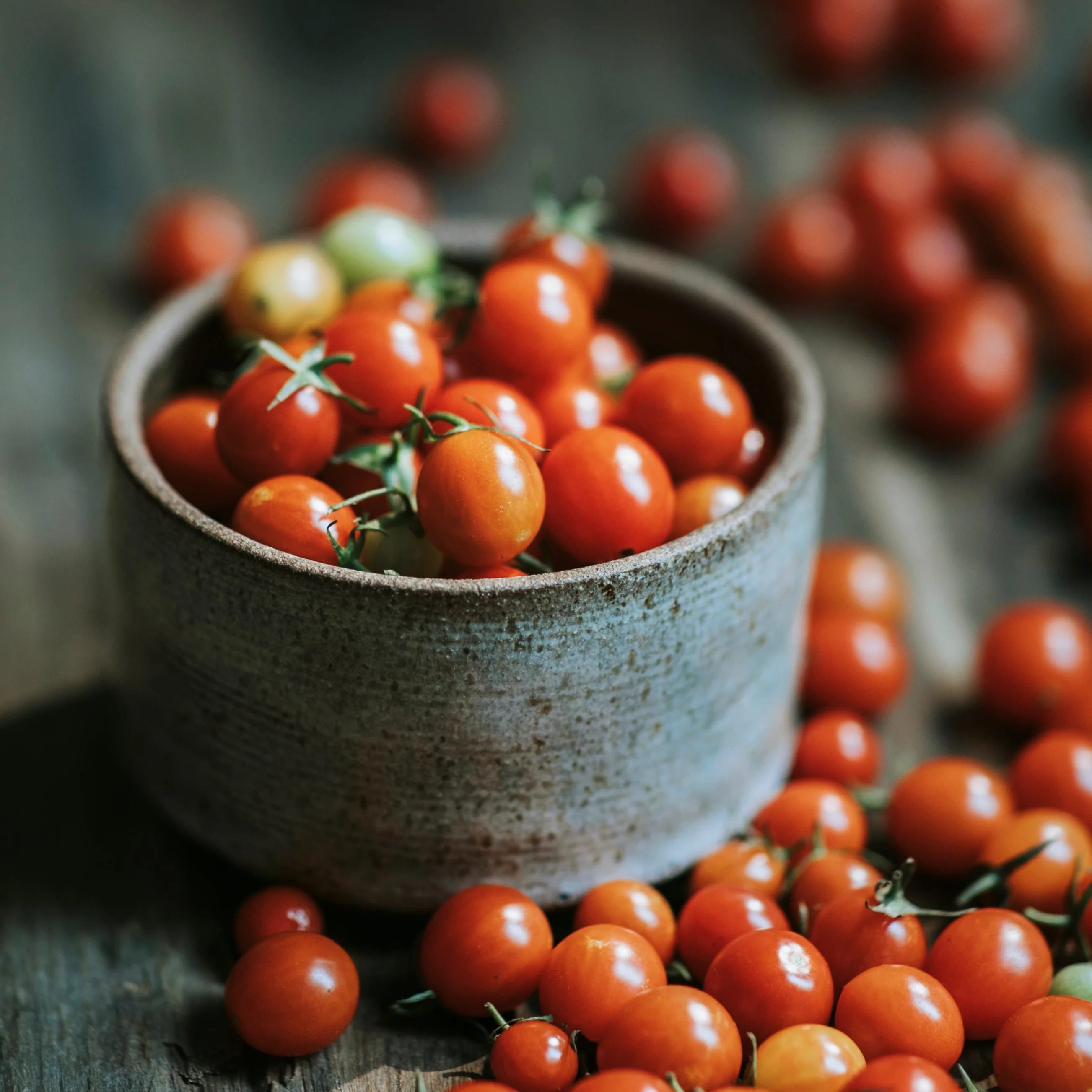 Lycopene Liquid Tomato Extract 20%- Oil Soluble