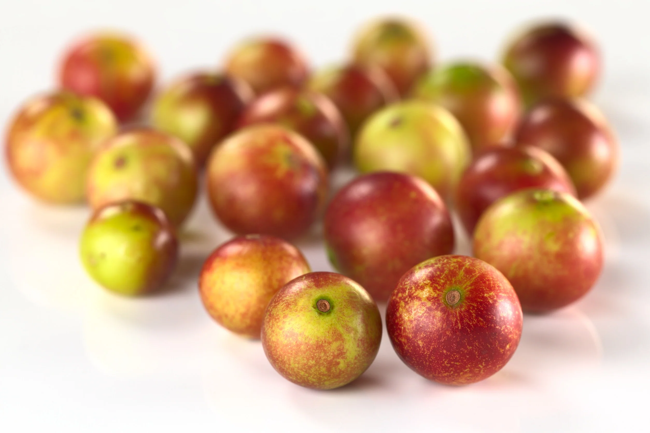 Camu Camu Botanical Extract Powder (Vitamin C Rich) - Image 2